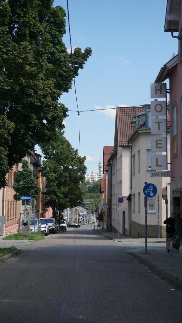 Hafner
